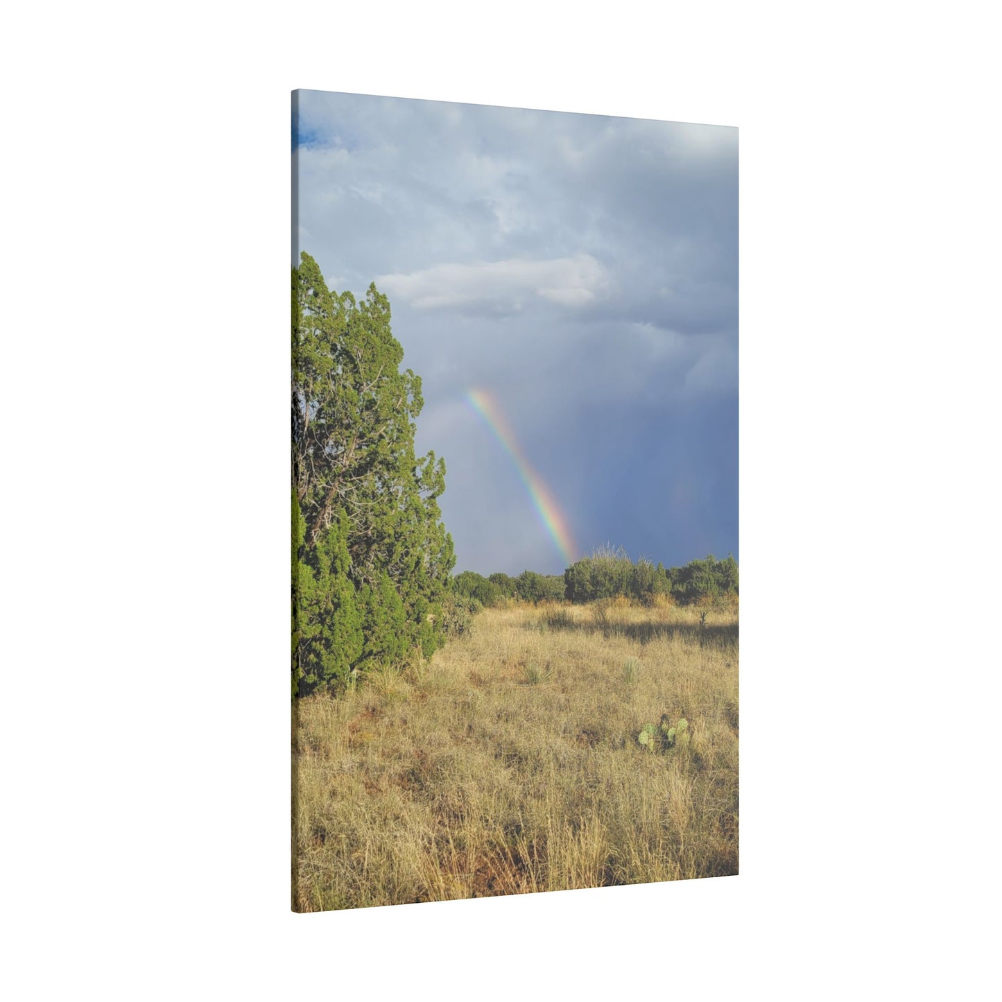 Canvas Print in Multiple Portrait Sizes from the Rainbow Series at Intriguing Vistas