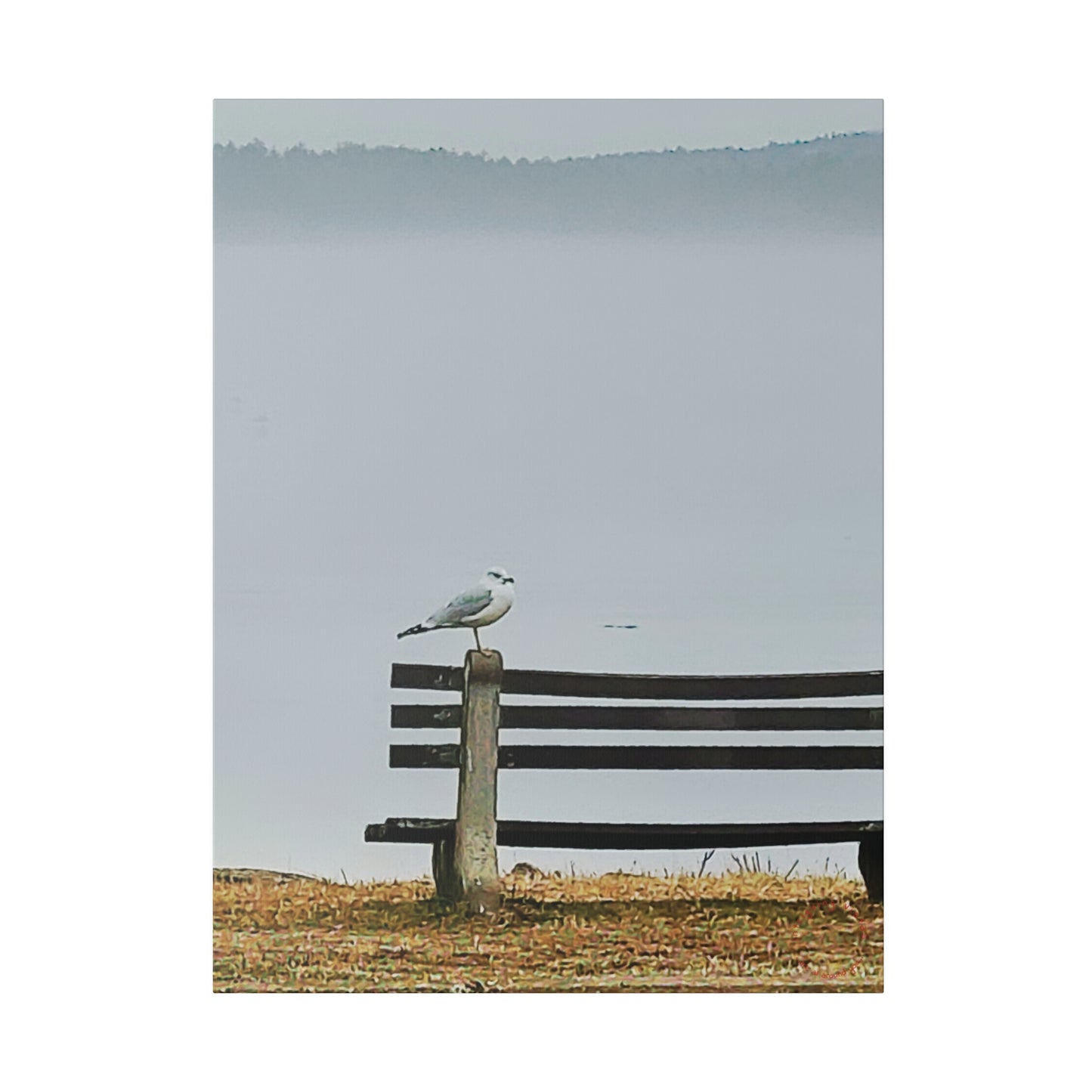 Intriguing Vistas™ Wildlife Series Matte Canvas Print in 12 Portrait Sizes!!