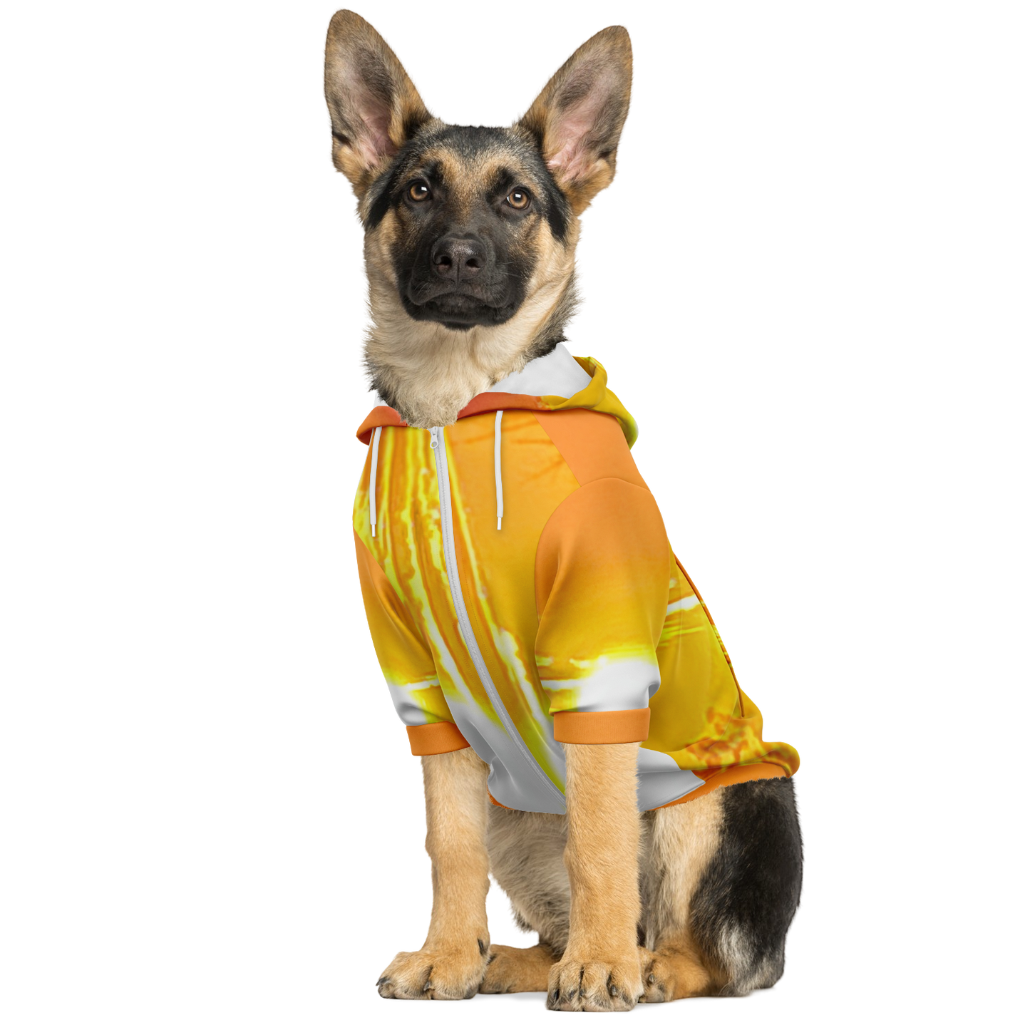 Intriguing Vistas™ Sunset Series Dog Zip-Up Hoodie