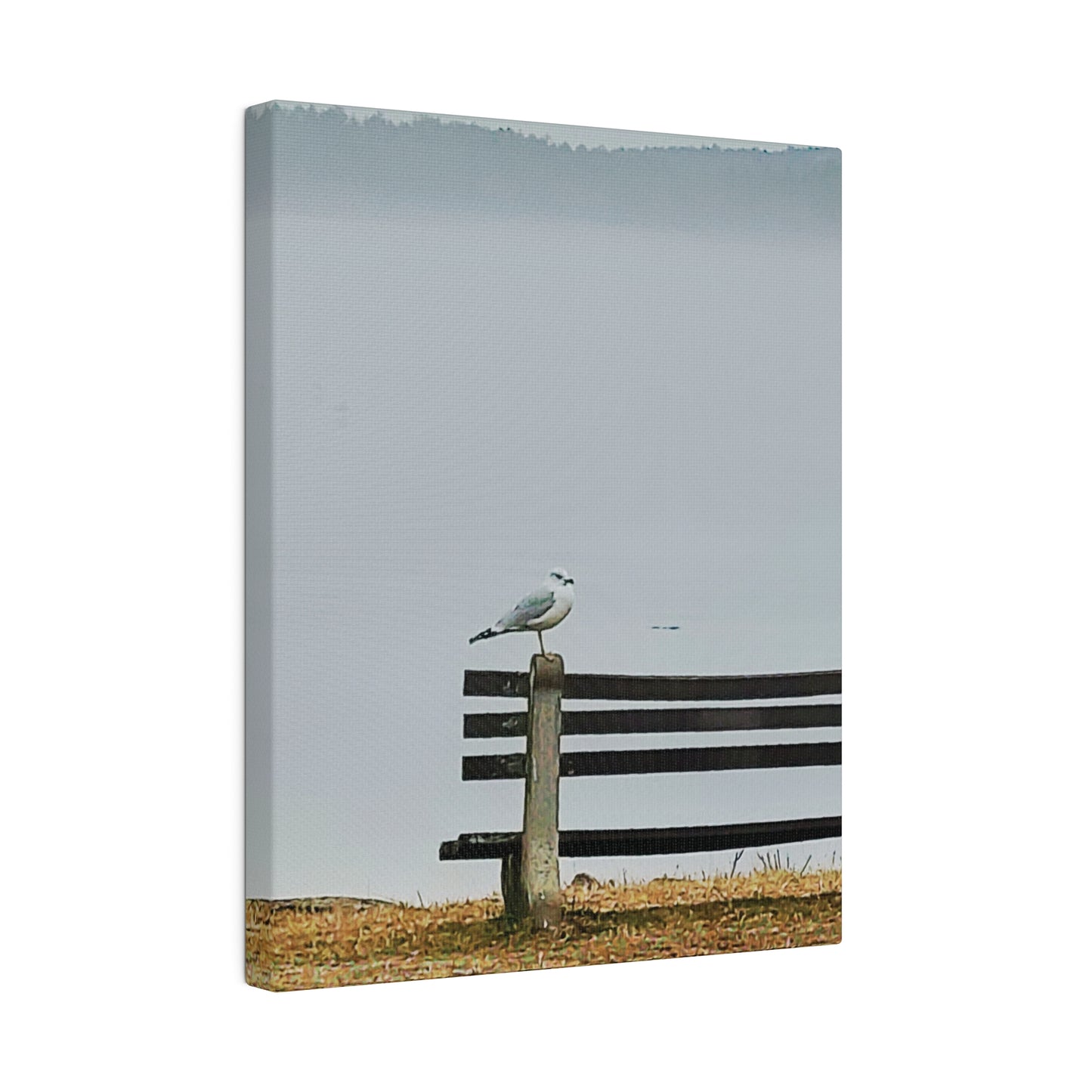 Canvas Print in Multiple Portrait Sizes from the Wildlife Series at Intriguing Vistas