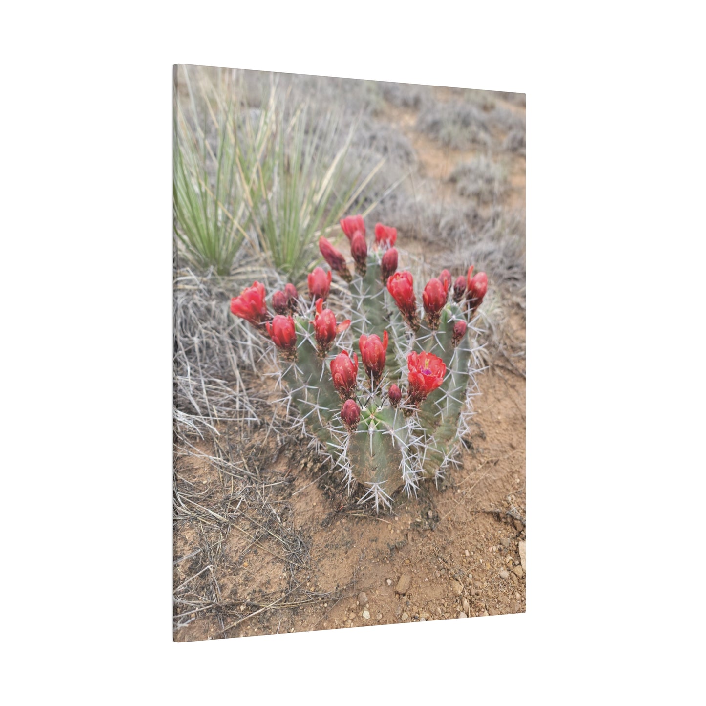 Canvas Print in Multiple Portrait Sizes from the Scenery Series at Intriguing Vistas