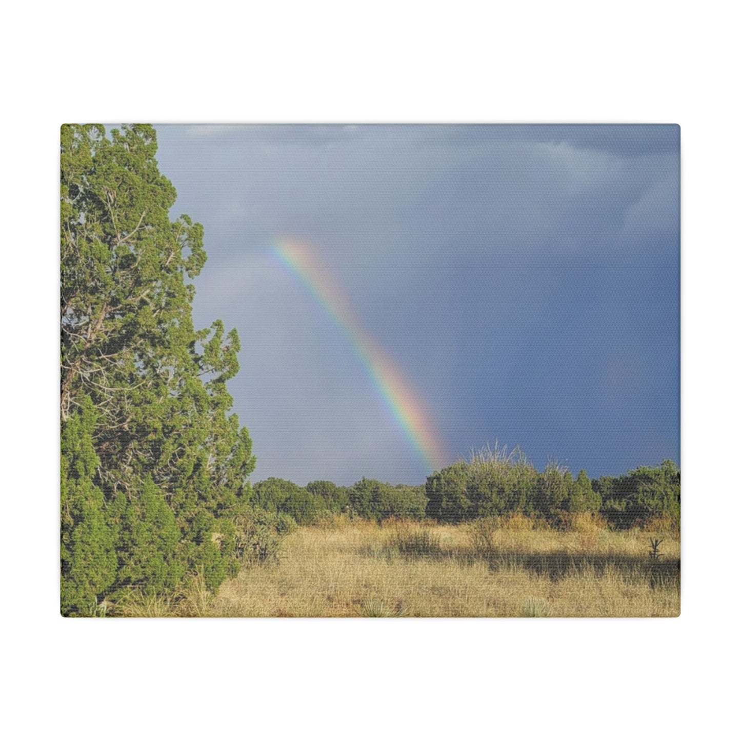 Canvas Print in Multiple Landscape Sizes from the Rainbow Series at Intriguing Vistas