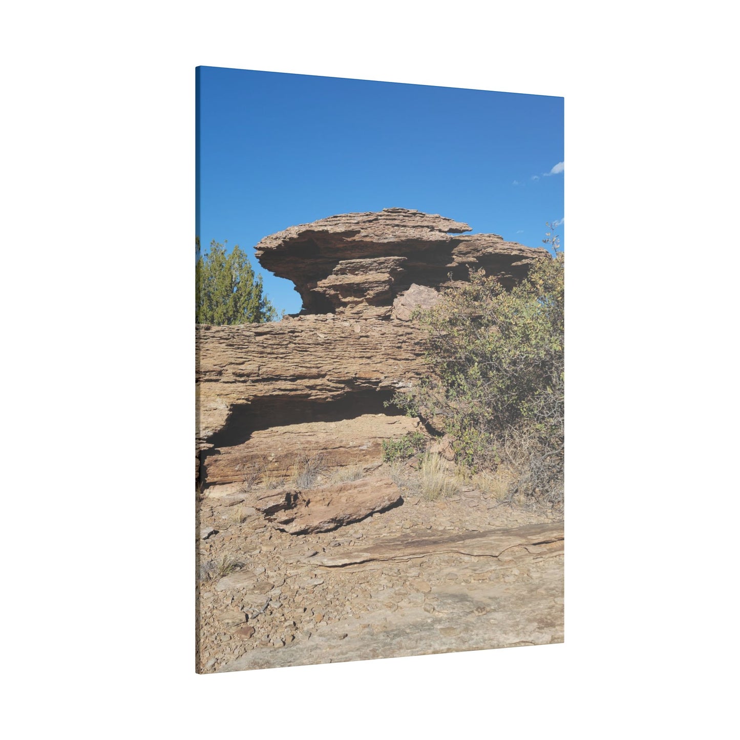 Canvas Print in Multiple Portrait Sizes from the Scenery Series at Intriguing Vistas