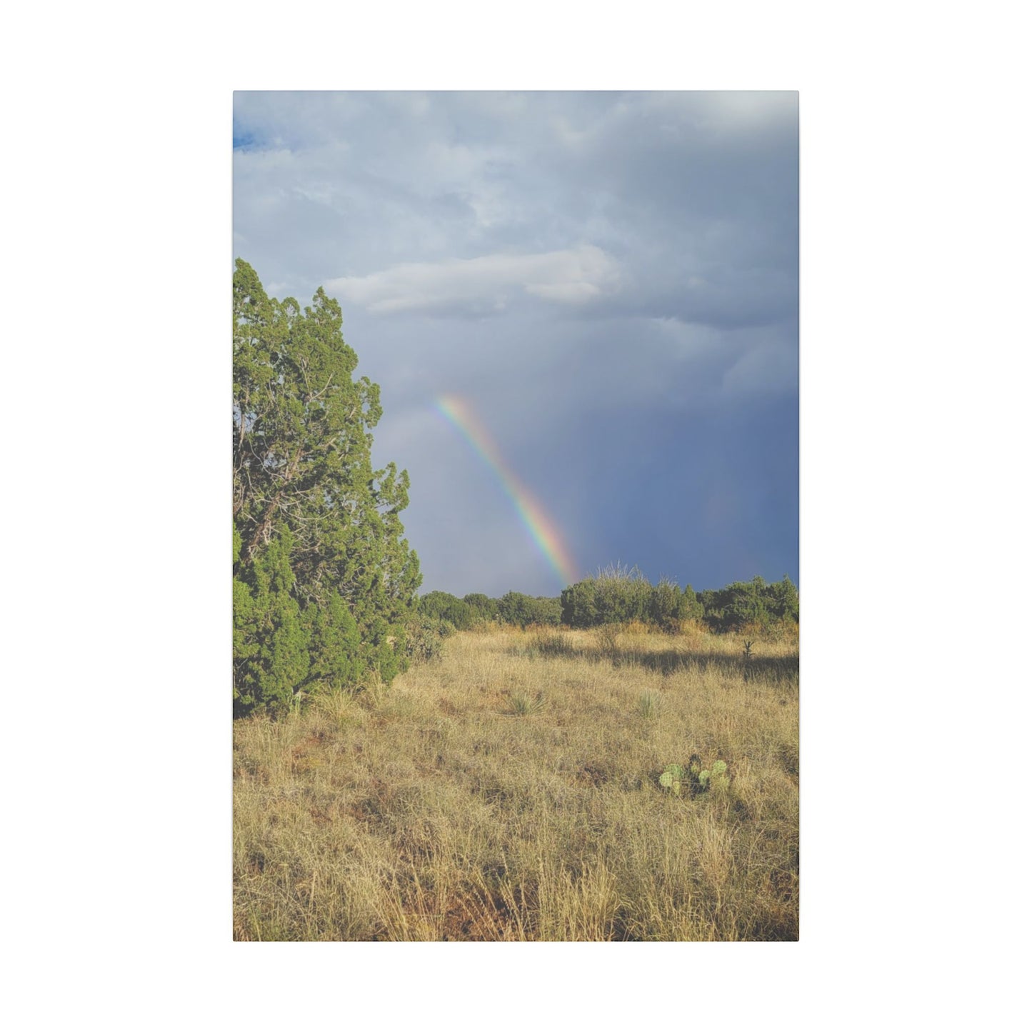 Canvas Print in Multiple Portrait Sizes from the Rainbow Series at Intriguing Vistas