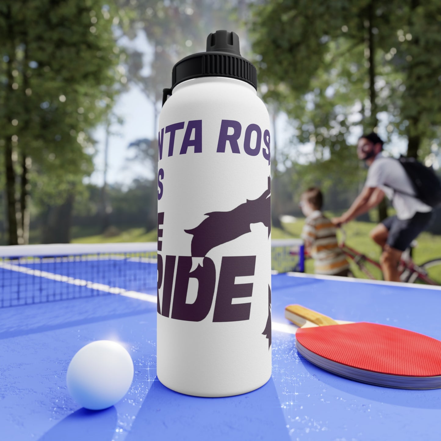 Santa Rosa Stainless Steel Water Bottle, Sports Lid