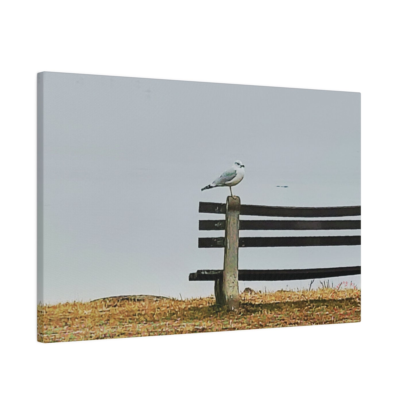 Intriguing Vistas™ Wildlife Series Matte Canvas Print in 12 Landscape Sizes!!