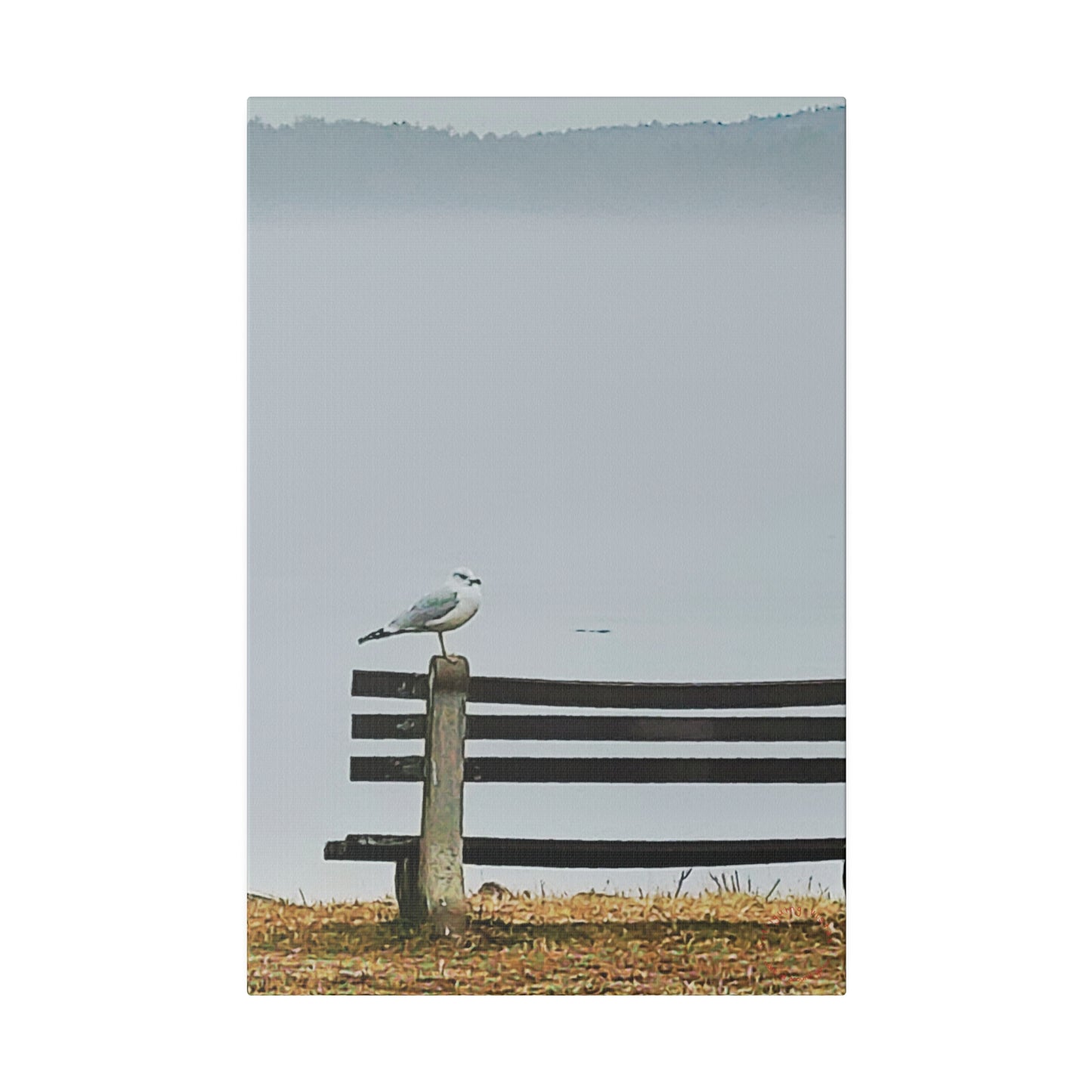 Intriguing Vistas™ Wildlife Series Matte Canvas Print in 12 Portrait Sizes!!