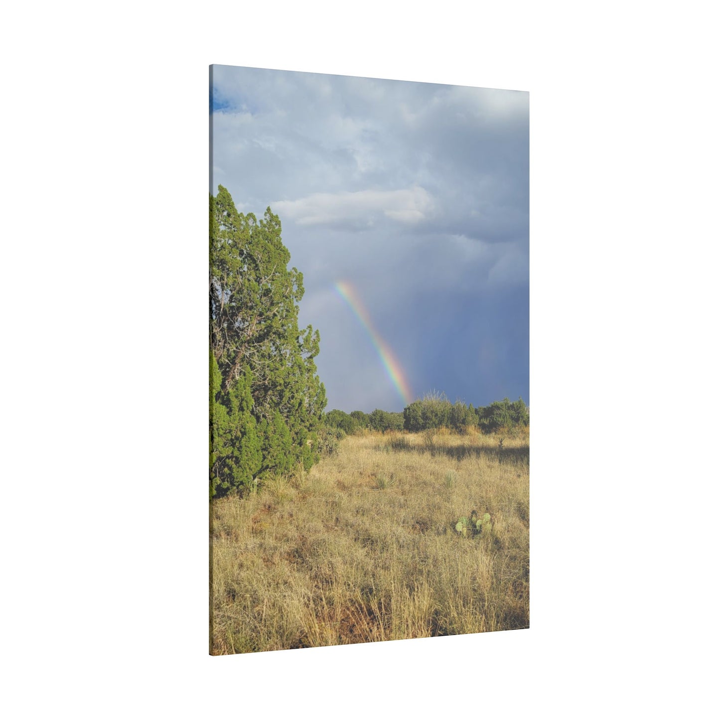 Canvas Print in Multiple Portrait Sizes from the Rainbow Series at Intriguing Vistas