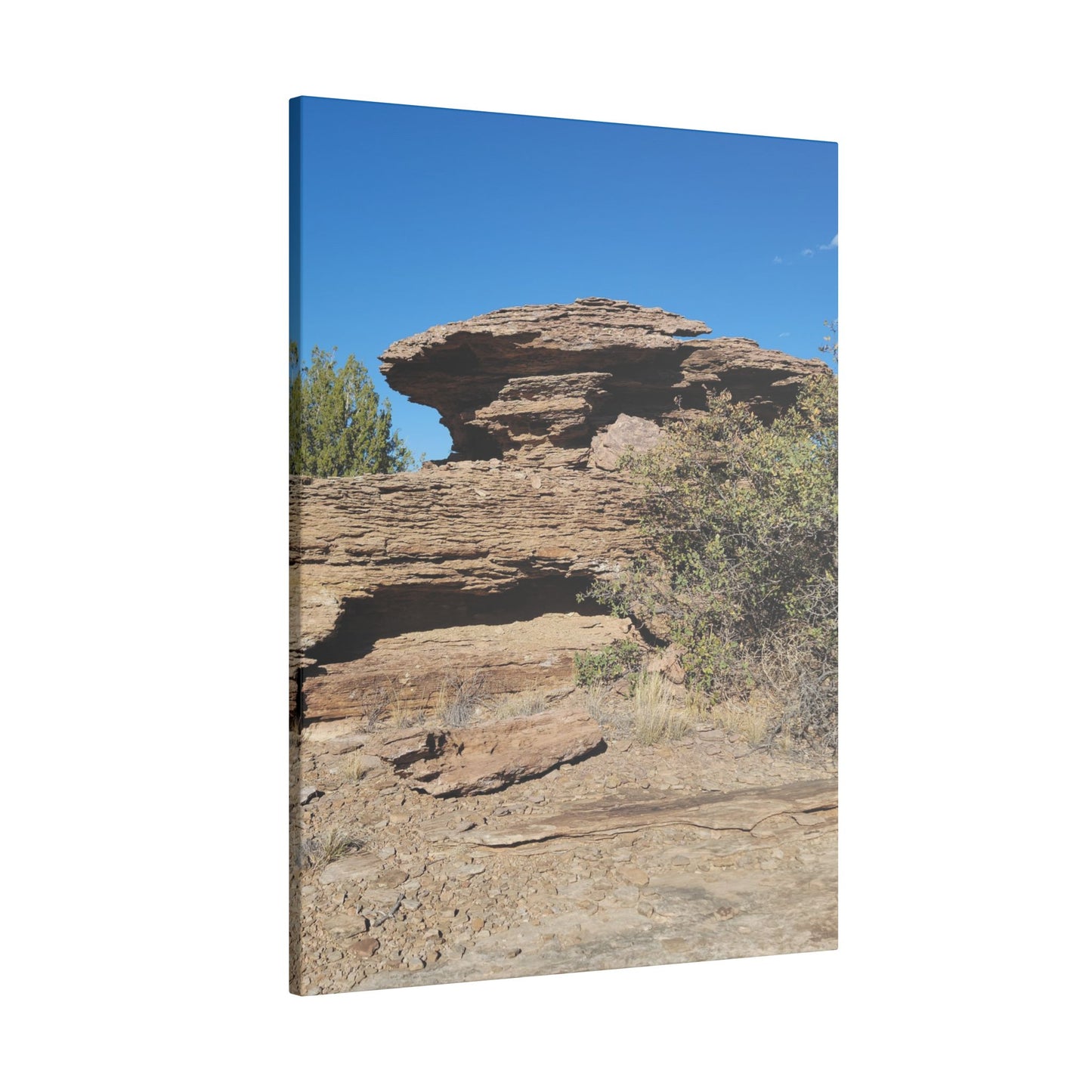 Canvas Print in Multiple Portrait Sizes from the Scenery Series at Intriguing Vistas