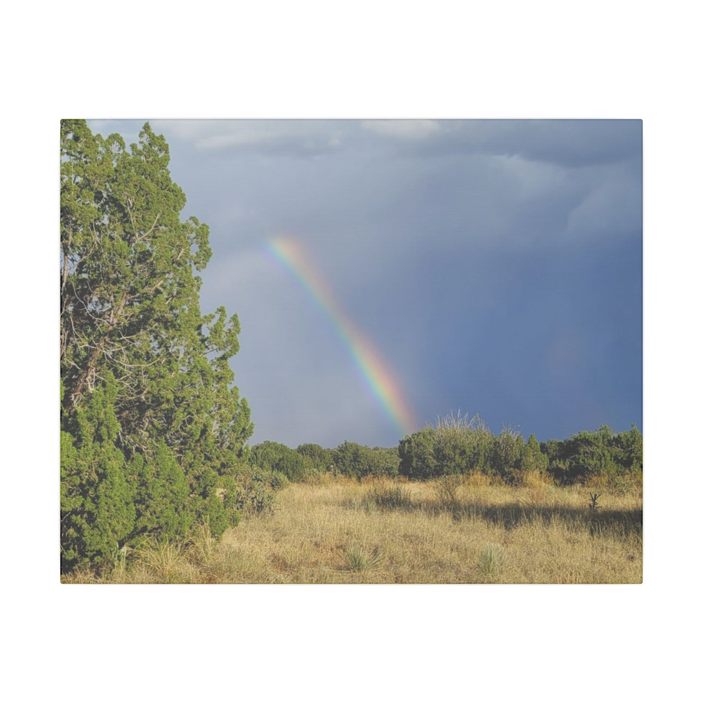 Canvas Print in Multiple Landscape Sizes from the Rainbow Series at Intriguing Vistas