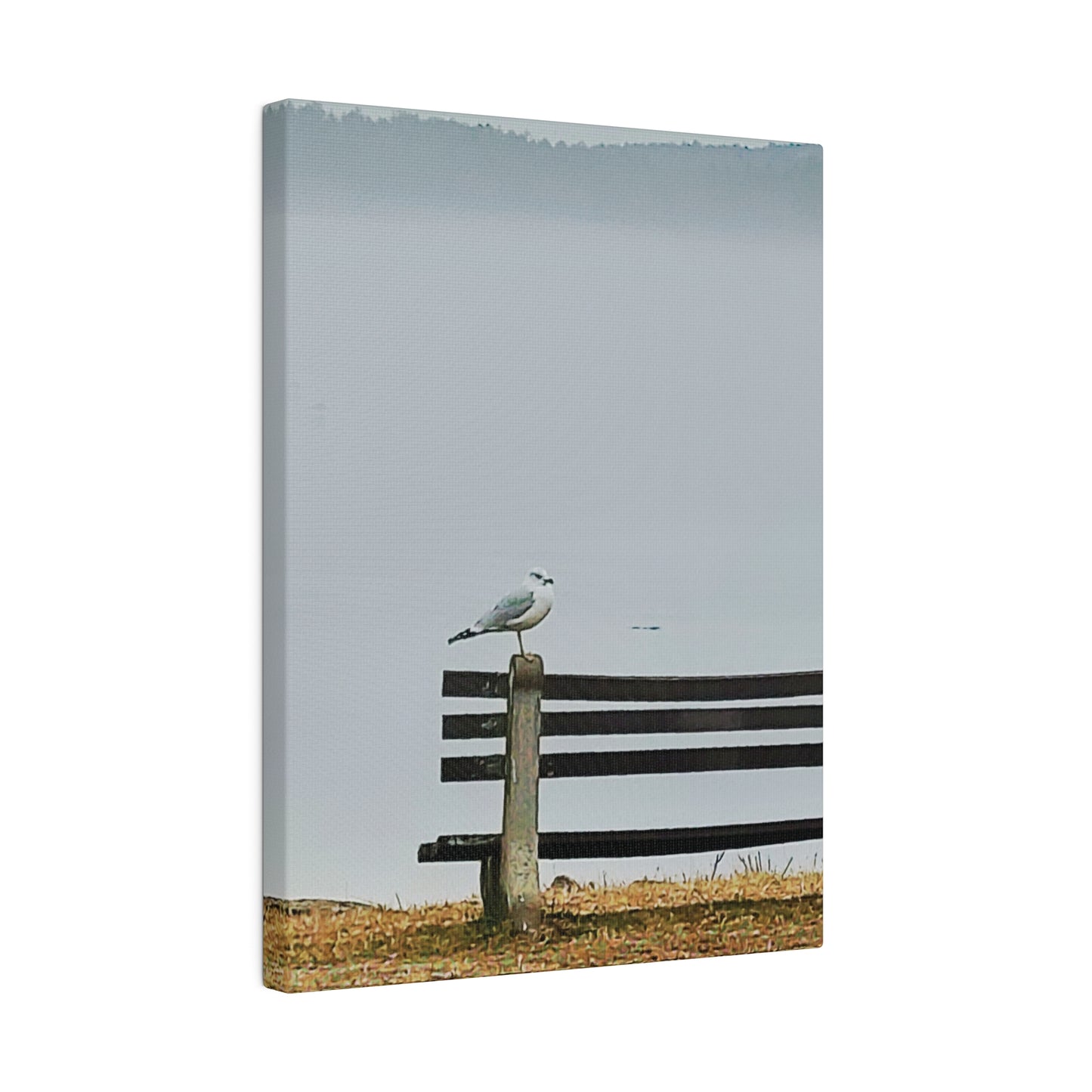 Canvas Print in Multiple Portrait Sizes from the Wildlife Series at Intriguing Vistas