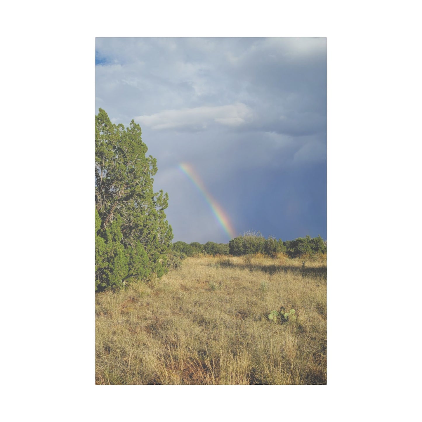 Canvas Print in Multiple Portrait Sizes from the Rainbow Series at Intriguing Vistas