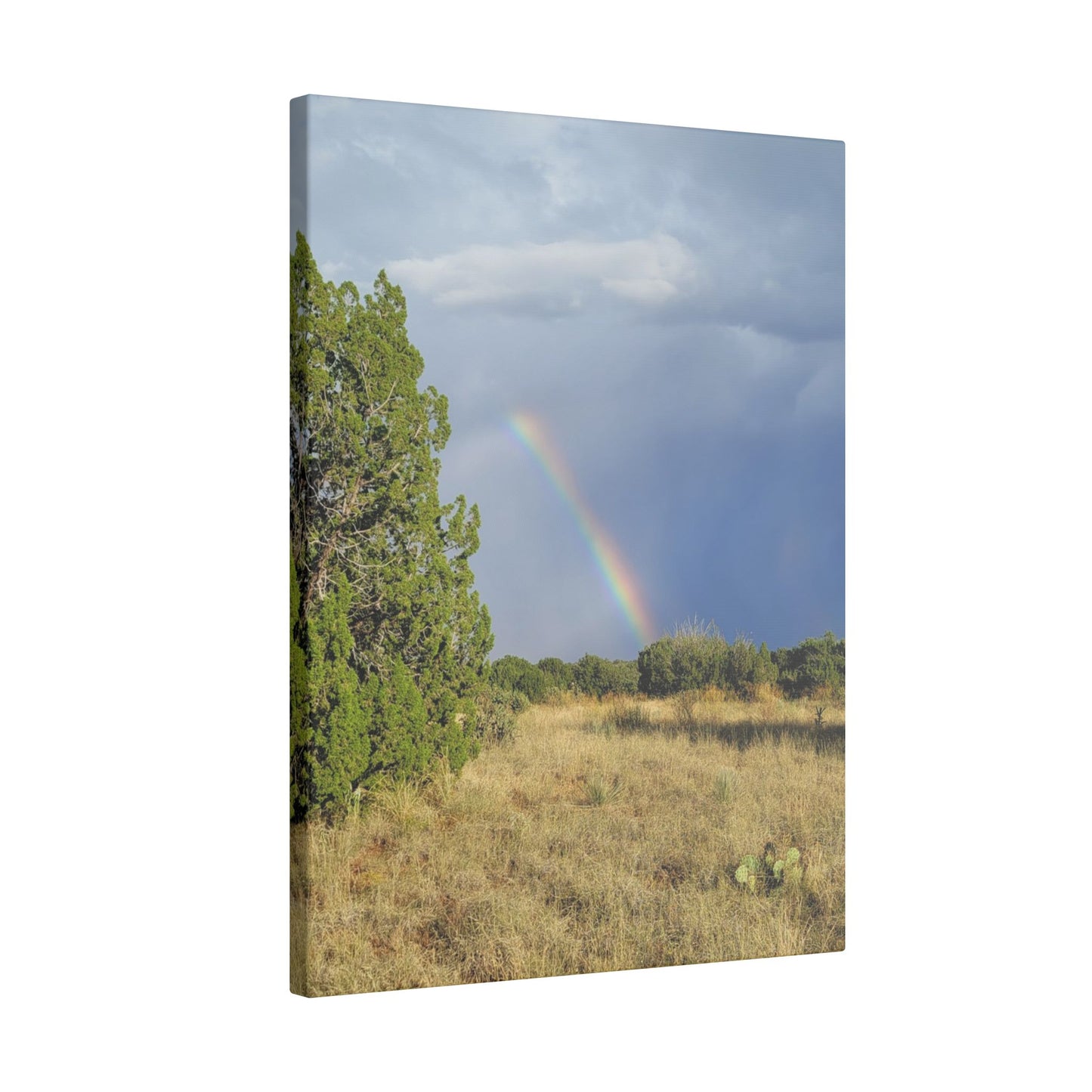 Canvas Print in Multiple Portrait Sizes from the Rainbow Series at Intriguing Vistas