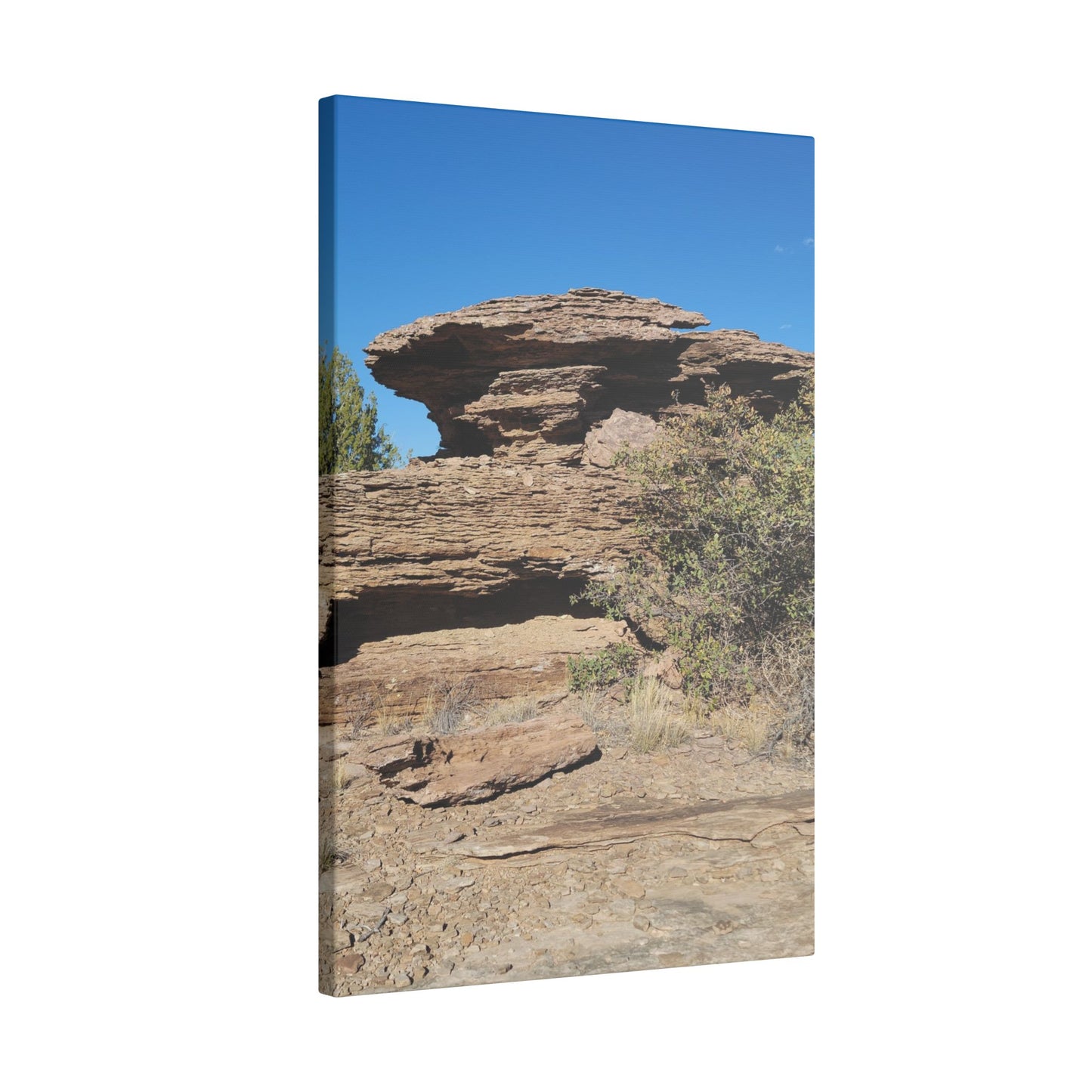 Canvas Print in Multiple Portrait Sizes from the Scenery Series at Intriguing Vistas