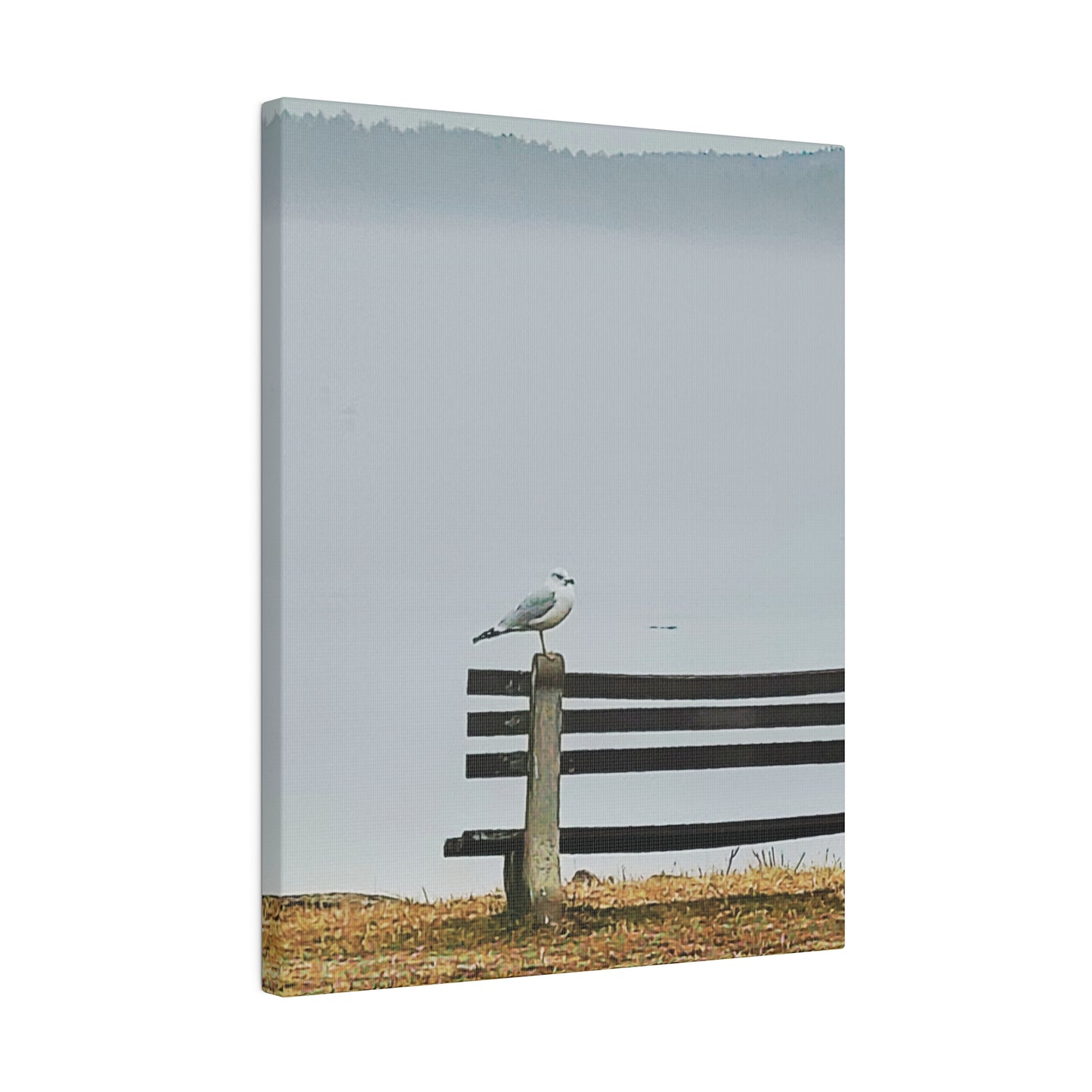 Canvas Print in Multiple Portrait Sizes from the Wildlife Series at Intriguing Vistas