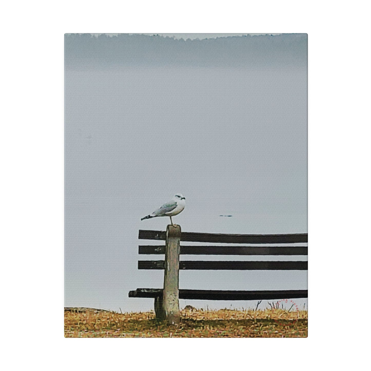 Intriguing Vistas™ Wildlife Series Matte Canvas Print in 12 Portrait Sizes!!